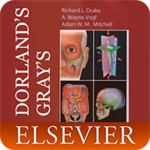 Logo of DORLANDS/GRAYS Pocket Atlas of Anatomy android Application 