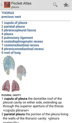 DORLANDS/GRAYS Pocket Atlas of Anatomy android App screenshot 10