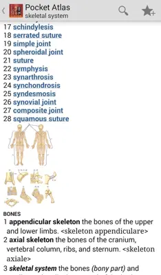 DORLANDS/GRAYS Pocket Atlas of Anatomy android App screenshot 11