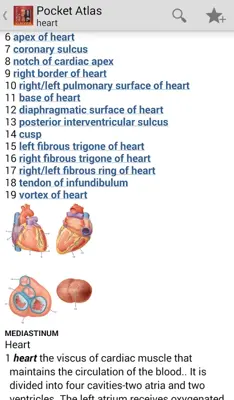 DORLANDS/GRAYS Pocket Atlas of Anatomy android App screenshot 12