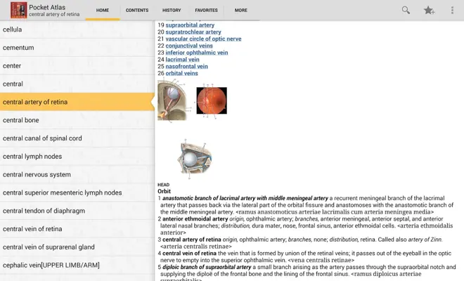 DORLANDS/GRAYS Pocket Atlas of Anatomy android App screenshot 2