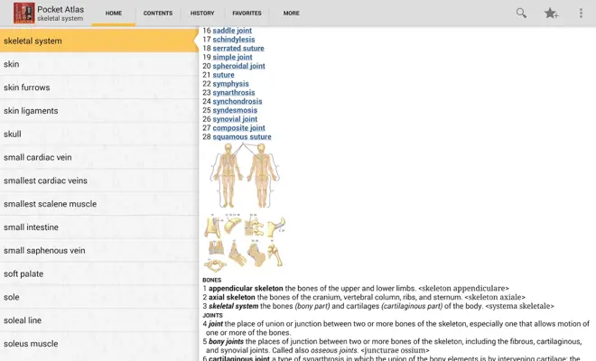 DORLANDS/GRAYS Pocket Atlas of Anatomy android App screenshot 3