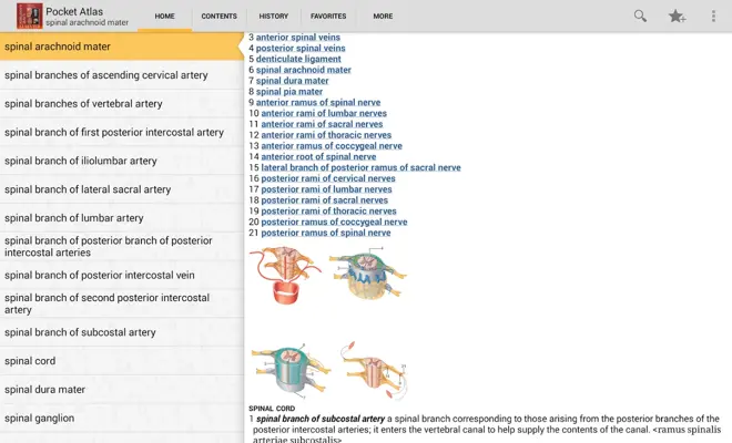 DORLANDS/GRAYS Pocket Atlas of Anatomy android App screenshot 4