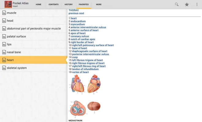 DORLANDS/GRAYS Pocket Atlas of Anatomy android App screenshot 5